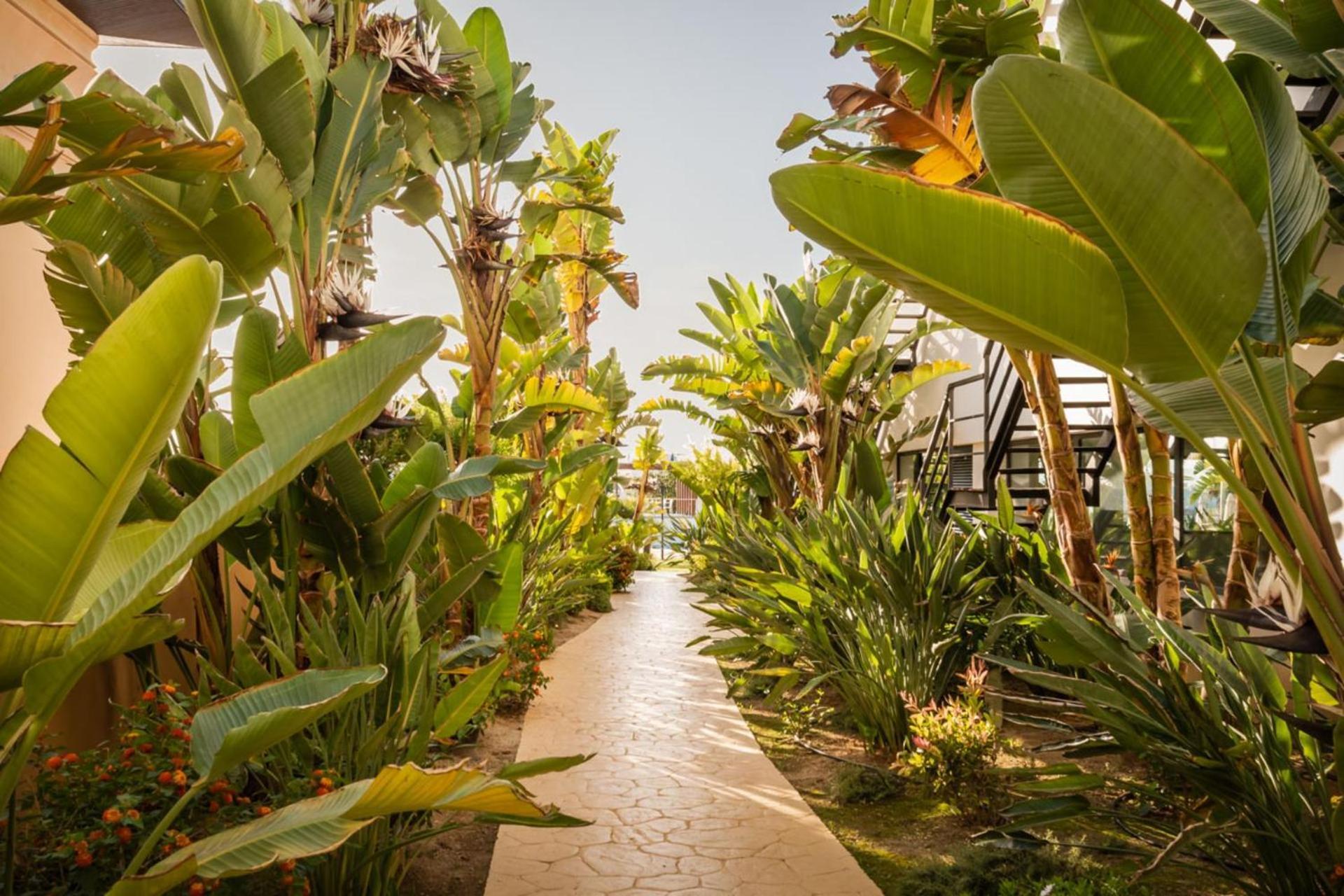 Alegria Palacio Mojacar - Adults Only Zewnętrze zdjęcie